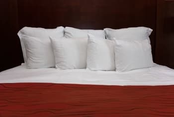 How Much Does a Hotel Pillow Cost? with 35 Example Prices